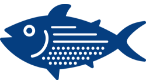 鮮魚市場