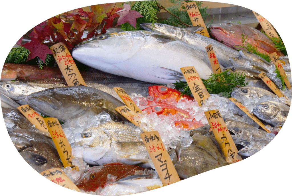 購入できる鮮魚